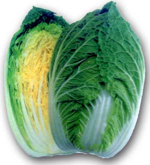 İײ˴